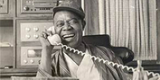 Louis Armstrong House Museum Launches New Digital Guide Photo