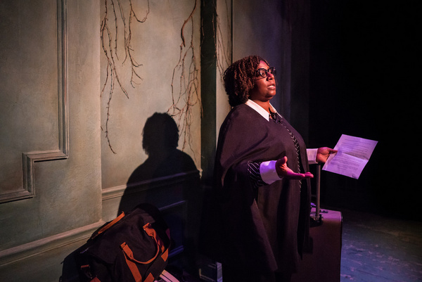 Photos: Compass Theatre's WELLESLEY GIRL Premieres At Theater Wit 