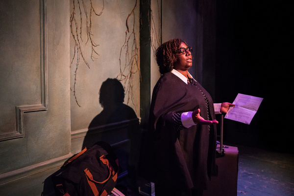 Photos: Compass Theatre's WELLESLEY GIRL Premieres At Theater Wit Image