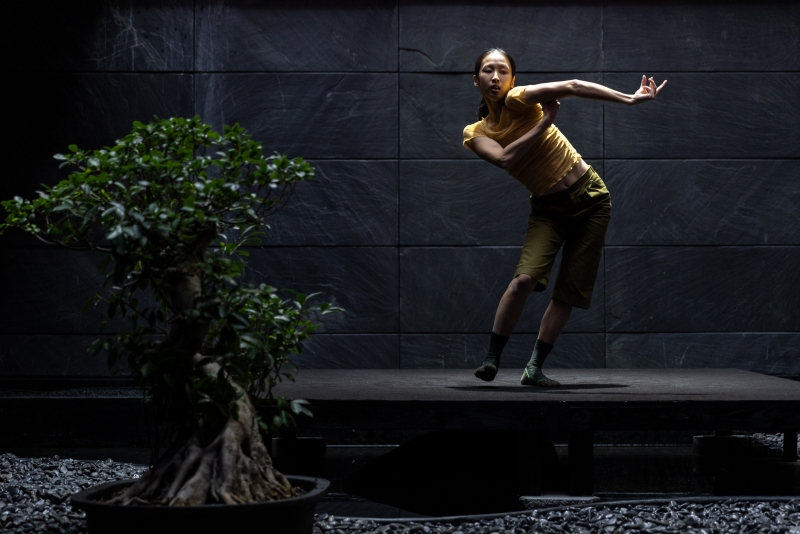 Review: CONTEMPORARY DANCE FESTIVAL 2022: JAPAN + EAST ASIA at Japan Society Image