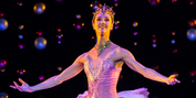 Photos: Scottish Ballet Tours THE NUTCRACKER Photo
