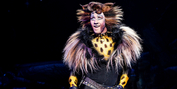 BWW Review: CATS at Kentucky Performing Arts Photo