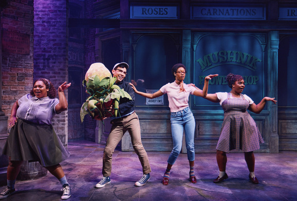 Photos: First Look at Conrad Ricamora as Seymour in LITTLE SHOP OF HORRORS Image