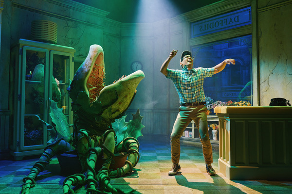 Photos: First Look at Conrad Ricamora as Seymour in LITTLE SHOP OF HORRORS Image