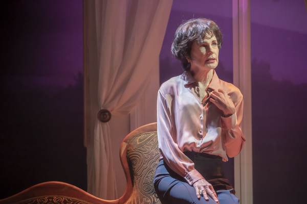 Photos: First Look at AVA: THE SECRET CONVERSATIONS Image