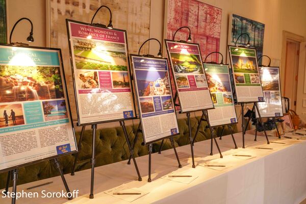 Photo Coverage: Dancing Under The Stars At The Ballet Palm Beach Gala Image