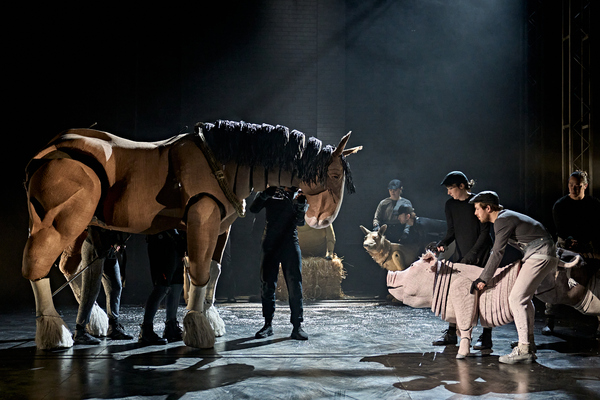 Photos: Check Out New Images of ANIMAL FARM UK Tour Image