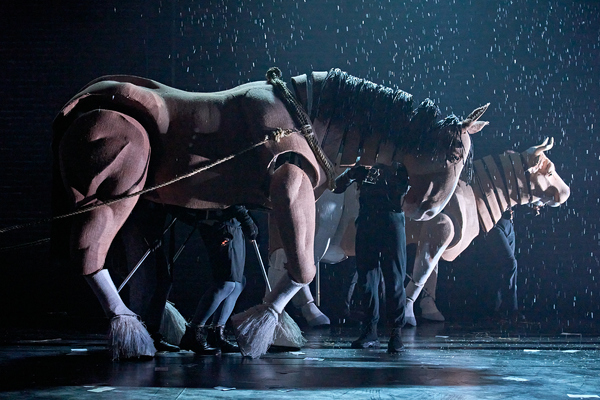 Photos: Check Out New Images of ANIMAL FARM UK Tour Image