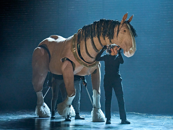 Photos: Check Out New Images of ANIMAL FARM UK Tour Image
