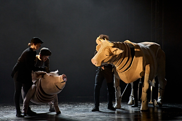 Photos: Check Out New Images of ANIMAL FARM UK Tour Image