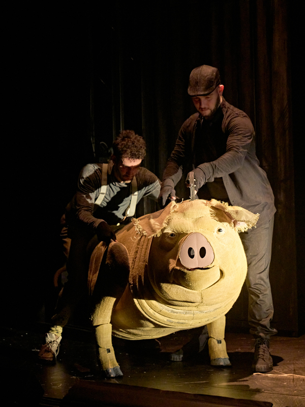 Photos: Check Out New Images of ANIMAL FARM UK Tour Image