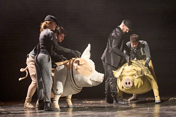 Photos: Check Out New Images of ANIMAL FARM UK Tour Image