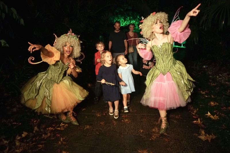 Review: DRAGONS & FAIRIES at Leu Gardens Image