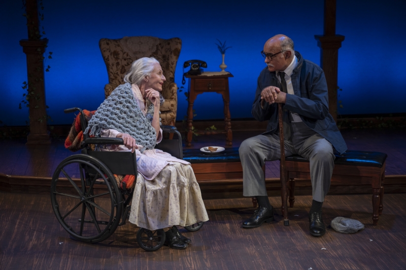 Review: DRIVING MISS DAISY at Florida Repertory Theatre Image