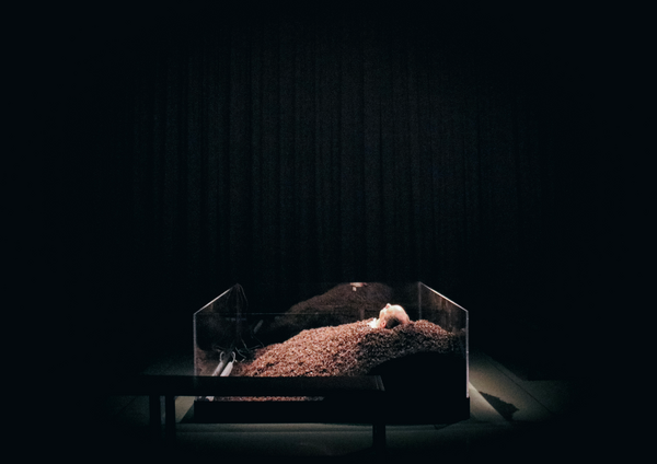 Photos: Nervous Theatre Presents Beckett's TEXTS FOR NOTHING Image