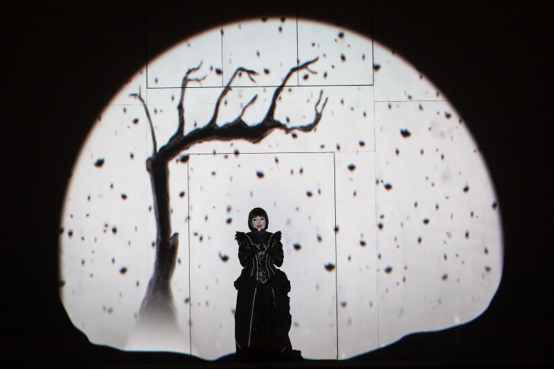 Review: Houston Grand Opera's Pushes Boundaries in Mozart's Exhilarating THE MAGIC FLUTE 