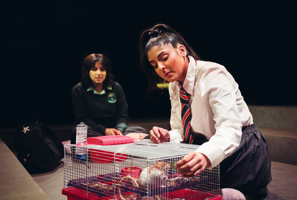 Photos: First Look at TWO BILLION BEATS at the Orange Tree Theatre Image