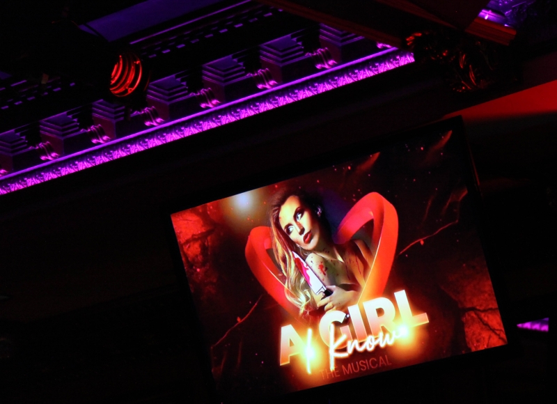 Photo Flash: New Dark Comedy Musical In Concert A GIRL I KNOW Presented at Feinstein's/54 Below  Image