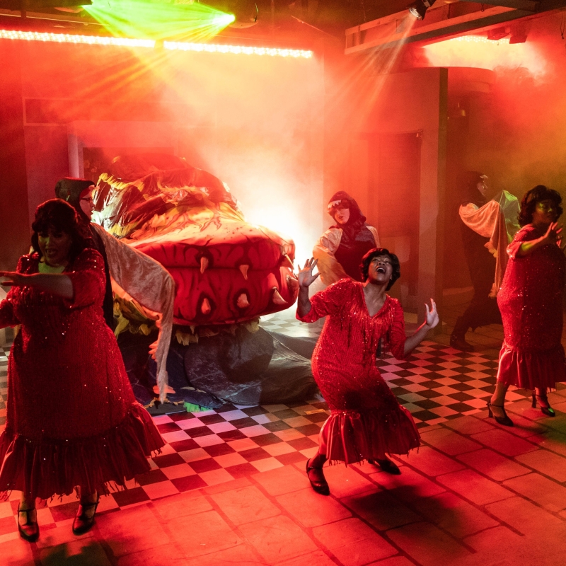 Review: LITTLE SHOP OF HORRORS at Littleton's Town Hall Image
