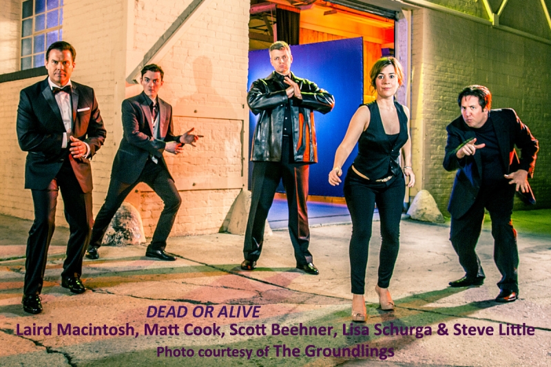 Interview: Matt Cook's Groundlings' Training Stimulated His Career & His Tomatoes Growth Image