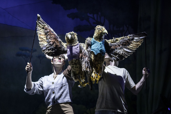 Photos: First Look at JUNGLE RUMBLE at the Fortune Theatre Image