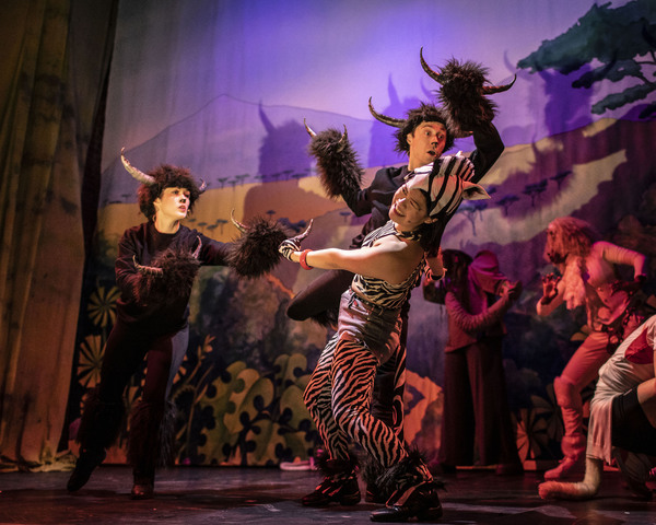 Photos: First Look at JUNGLE RUMBLE at the Fortune Theatre Image