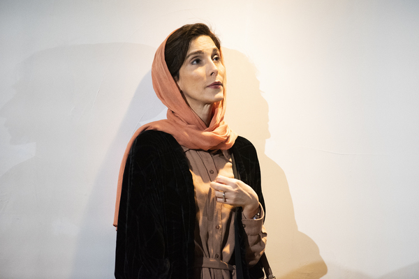 Photos: First Look at Atlantic Theater Company's ENGLISH Image