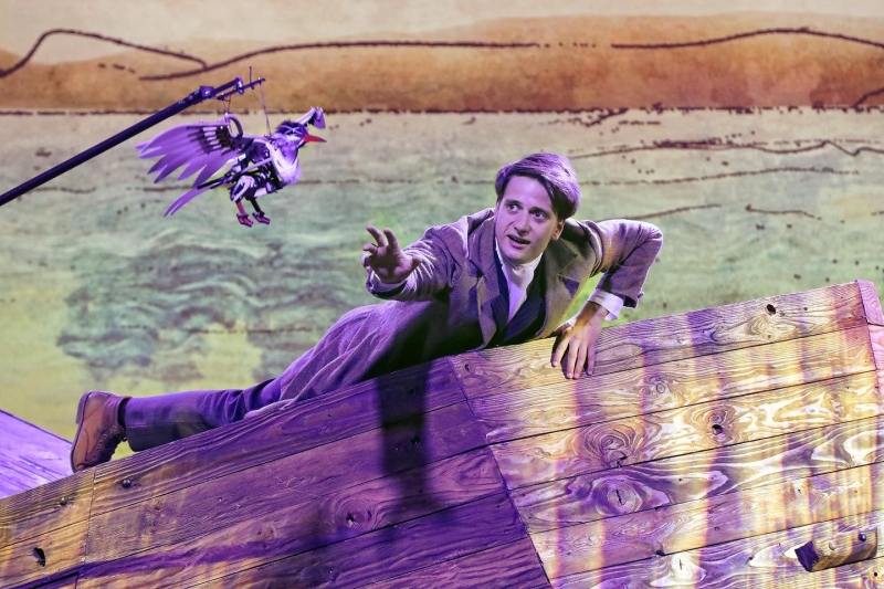 Review: THE WIDER EARTH at Princess Theatre Image
