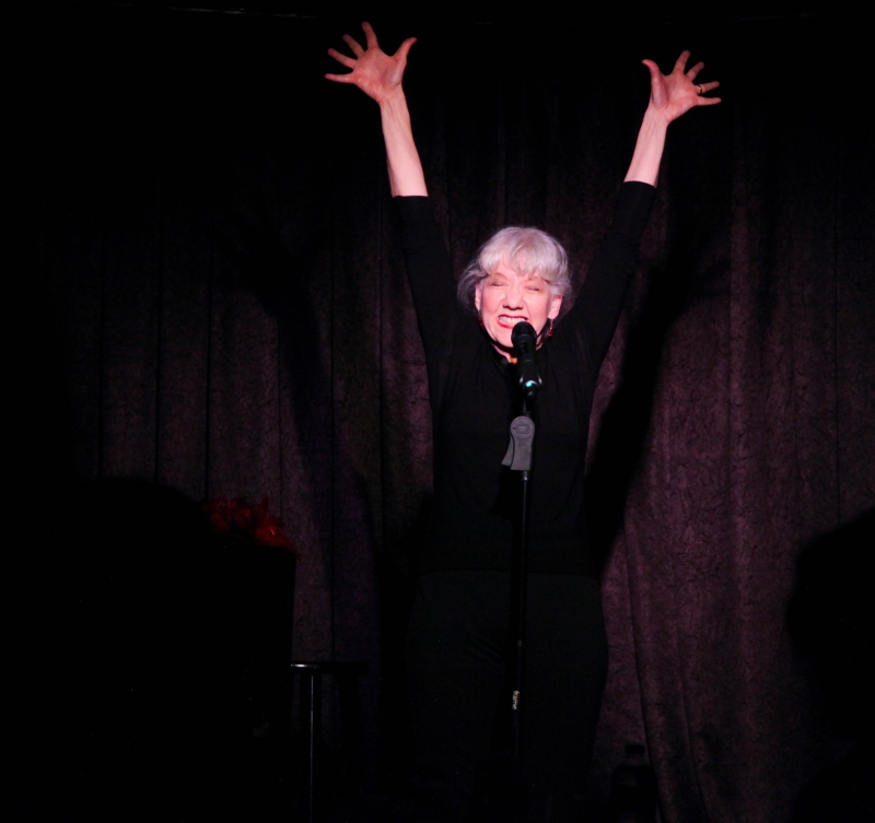Review: Mary Lahti Defines Cabaret by Breaking a Pattern with WOULDA COULDA SHOULDA at Don't Tell Mama Image