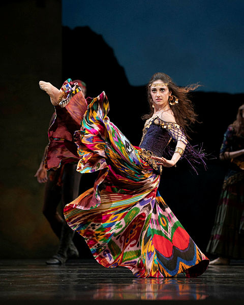 Review: DON QUIXOTE at San Francisco Ballet Celebrates the Joy of Dancing  Image