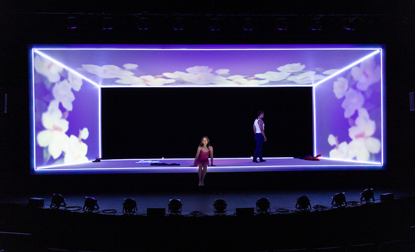Photos: First Look at BAIPAS at George Street Playhouse Image