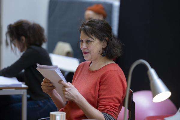 Photos: Inside Rehearsal For THE FEVER SYNDROME at Hampstead Theatre Image