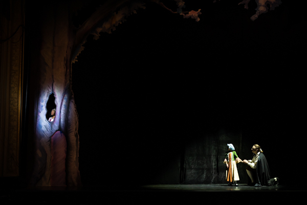Photos: First Look at the Butterfly Guild's CINDERELLA Image
