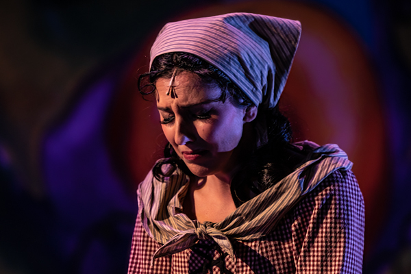 Photos: First Look at the Butterfly Guild's CINDERELLA Image