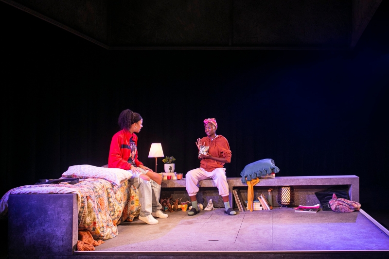 Review | SEVEN METHODS OF KILLING KYLIE JENNER at La Boite Image