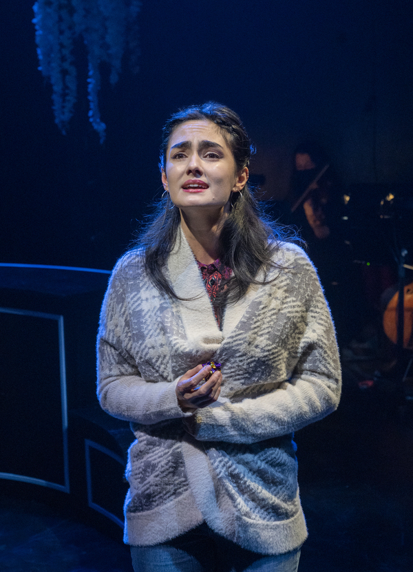 Photos: First Look at Judy McLane, Josh Lamon & More in NOTES FROM NOW Image