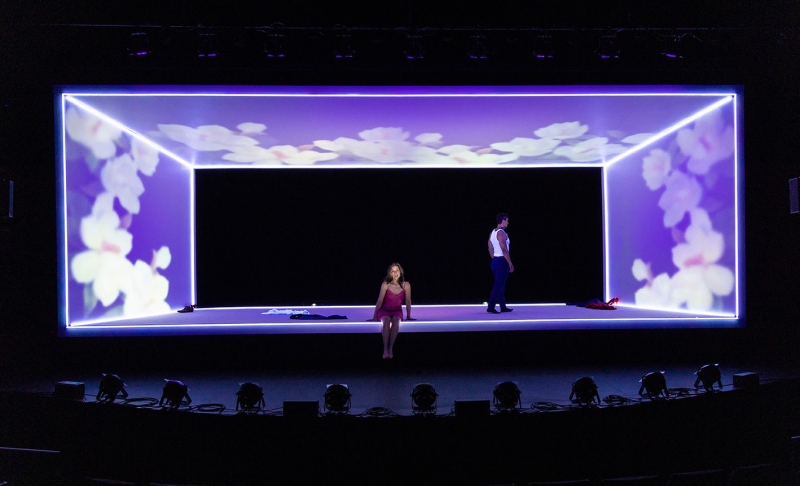 Review: BIAPAS Enraptures Audiences at George Street Playhouse Image