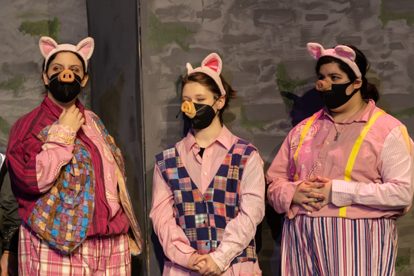 Photos: First look at SHREK The Musical at Arts & College Preparatory Academy Image
