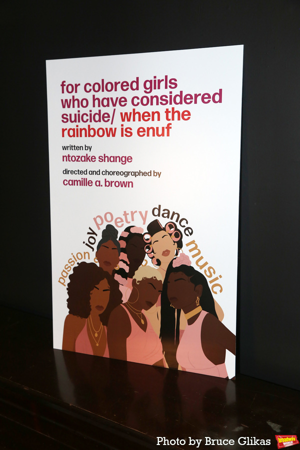 Photos: Meet the Company of FOR COLORED GIRLS WHO HAVE CONSIDERED SUICIDE/ WHEN THE RAINBOW IS ENUF Image