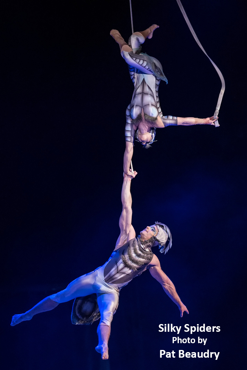 Interview: Cirque du Soleil's Mike Newquist Smoothly Managing the Opening of OVO & Other Relaunches 