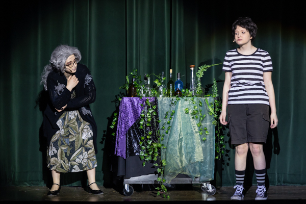 Photos: First look at Dublin Jerome High School's THE ADDAMS FAMILY  Image