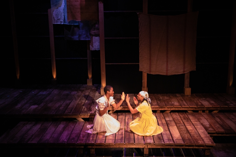 Review: The Phoenix Theatre Company Presents THE COLOR PURPLE in A Masterpiece Of Transcendent Theatre 