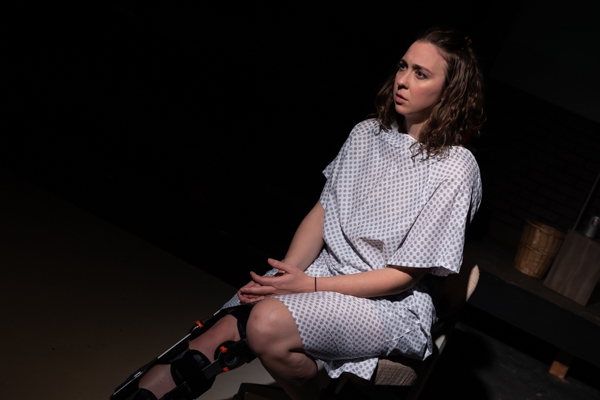 Photos: First look at Red Herring Theater Company's DANCING LESSONS Image