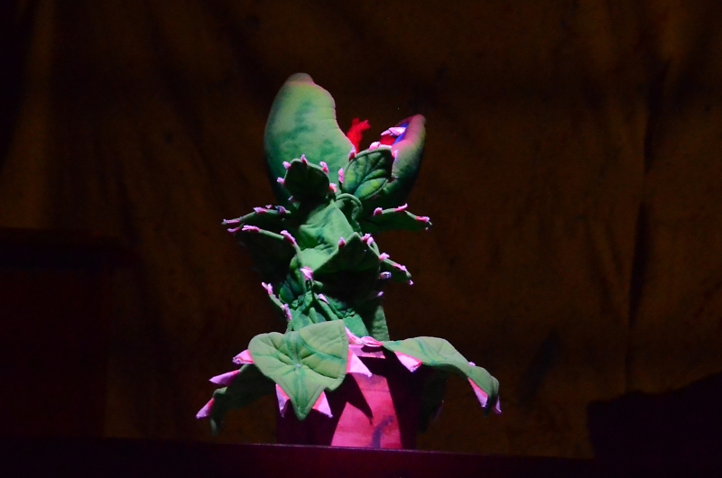 Review: Desert Theatreworks Has Mounted A Must-See Production of LITTLE SHOP OF HORRORS Image