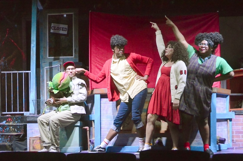 Review: Desert Theatreworks Has Mounted A Must-See Production of LITTLE SHOP OF HORRORS 