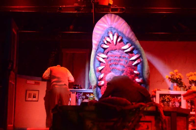 Review: Desert Theatreworks Has Mounted A Must-See Production of LITTLE SHOP OF HORRORS Image