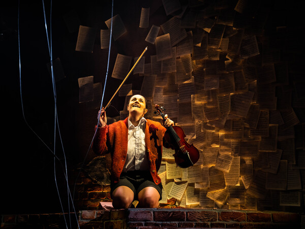 Photos: First Look at THE MOZART QUESTION at the Barn Theatre Image