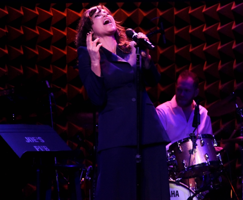 Photos: GMHC CABARET & HOWARD ASHMAN AWARD HONORING LEA DELARIA at Joe's Pub Inspires Laughter and Tears Image