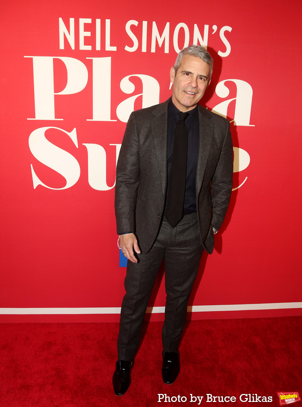 Photos: Stars Walk the Red Carpet for Opening Night of PLAZA SUITE Image