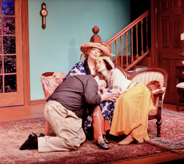 Photos: Inside Look at The Town Players of New Canaan's Production of HAY FEVER 